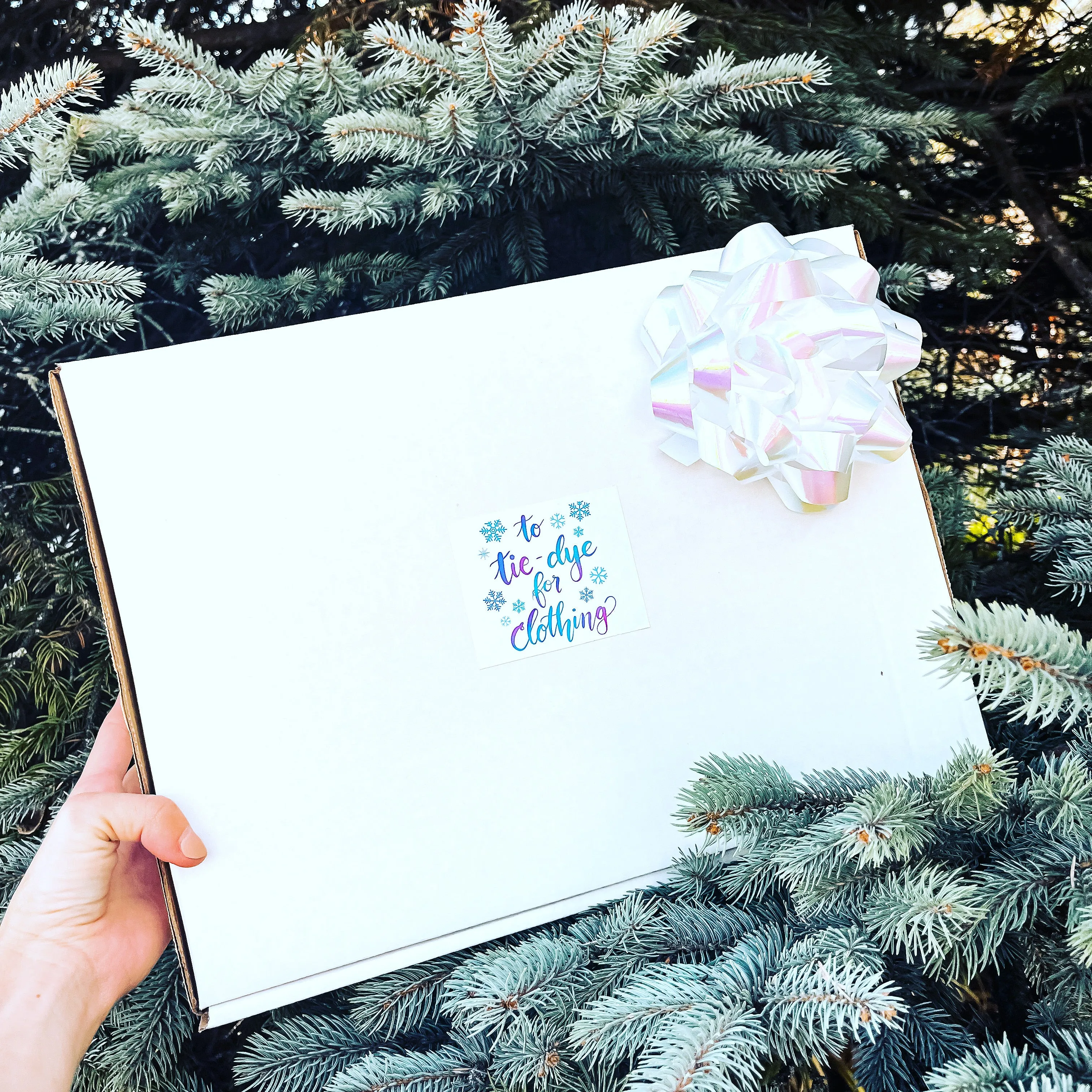 Adult TTDFC Holiday Gift Box Set