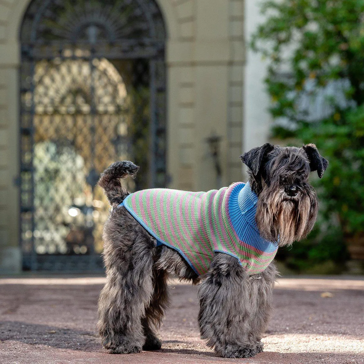 Bespoke Dog Sweater Psychedelic