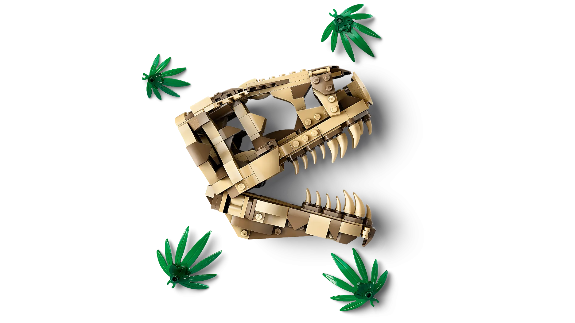 LEGO 76964 Jurassic World Dinosaur Fossils: T.Rex Skull