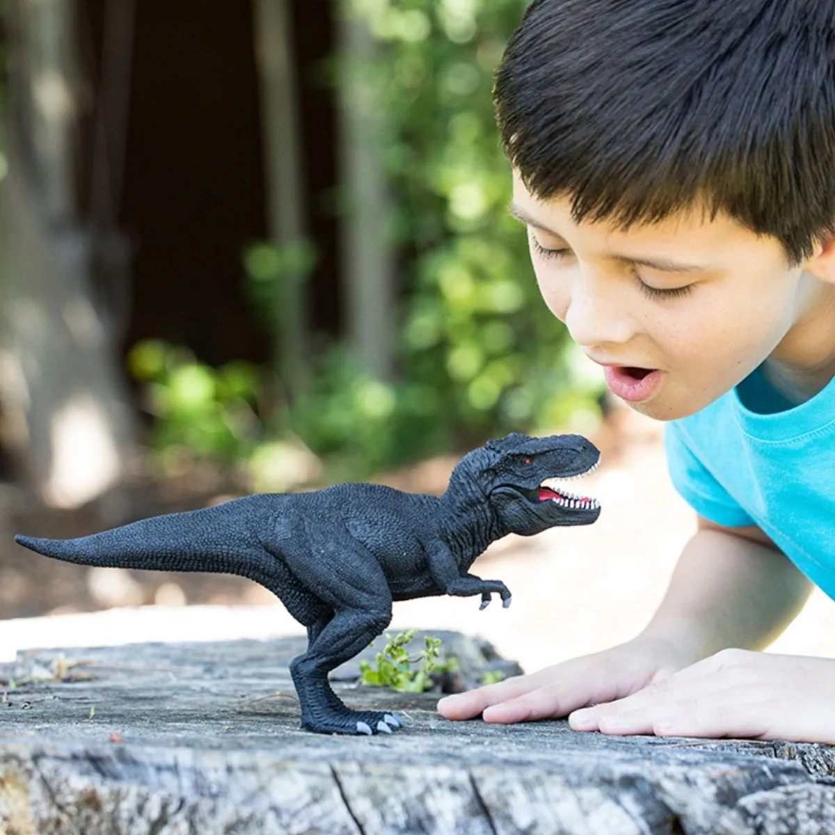 Limited-Edition Shadow T-Rex