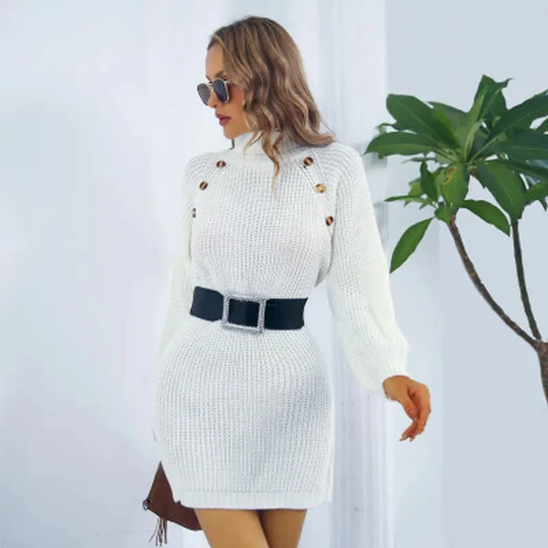 Sima Turtleneck Dress