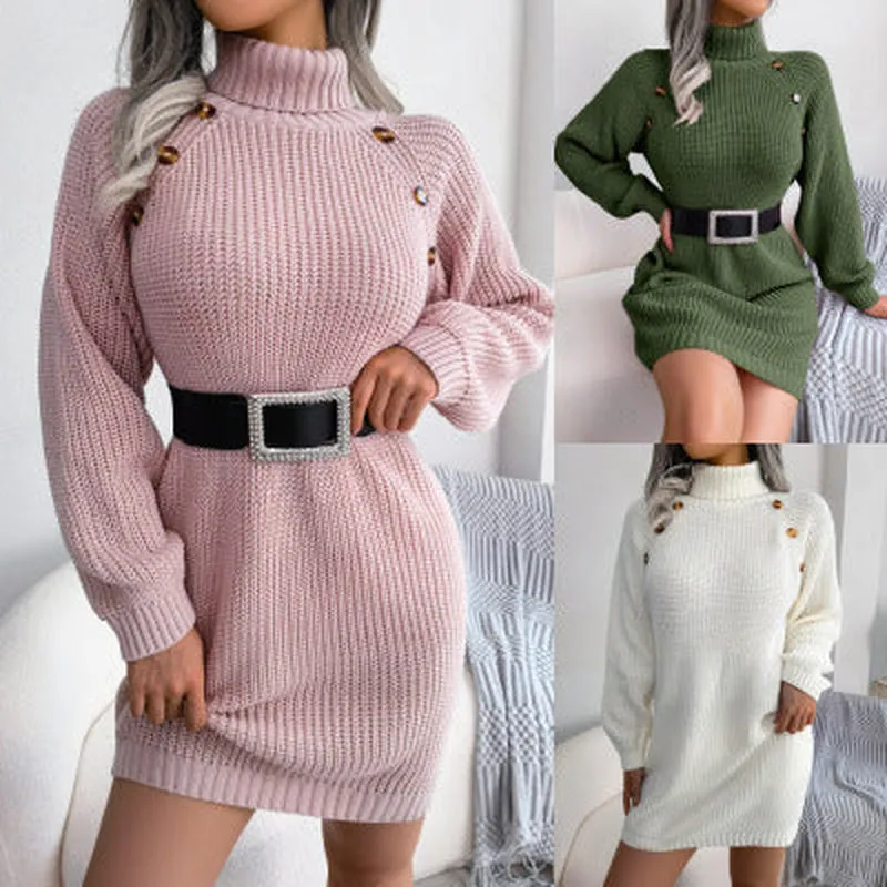 Sima Turtleneck Dress